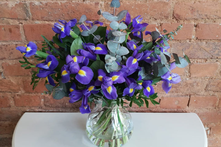 Buchet cu Iris Violet – 21 fire