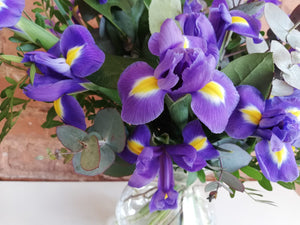 Buchet cu Iris Violet – 21 fire