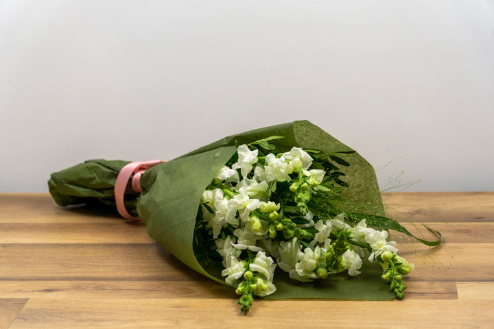Detaliu floral cu gura leului