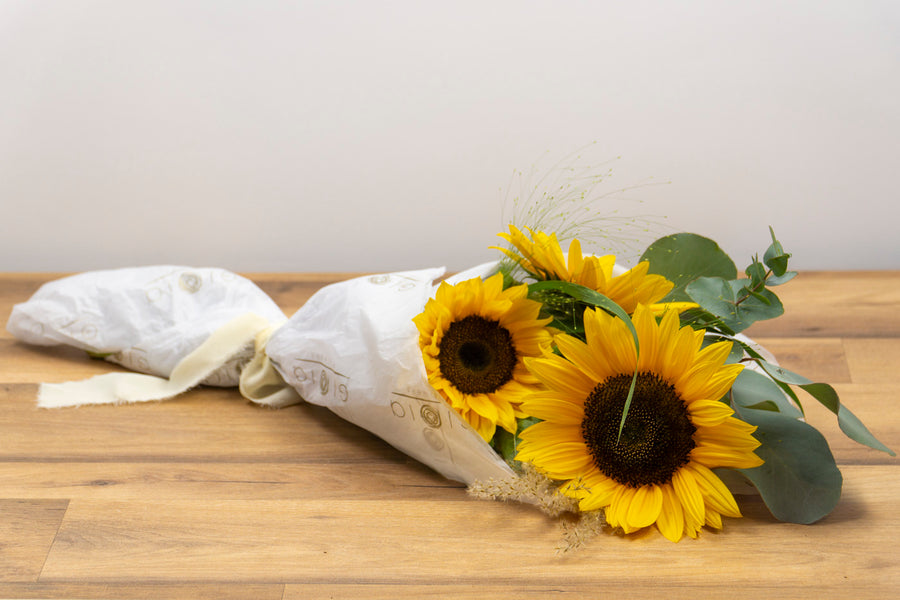 Detaliu floral cu floarea soarelui