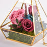 Terariu piramida cu trandafiri "criogenizati"