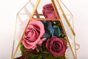 Terariu piramida cu trandafiri "criogenizati"