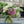 Buchet de Designer - Decide tu bugetul!