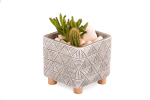 Vas cactus design modern